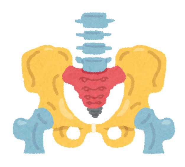 伊達市の骨盤矯正｜かまた鍼灸整骨院保原院